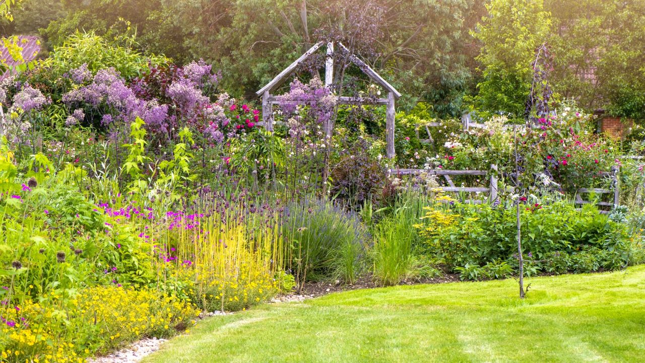 Grow these 5 aromatic plants to turn your garden into a wildlife haven